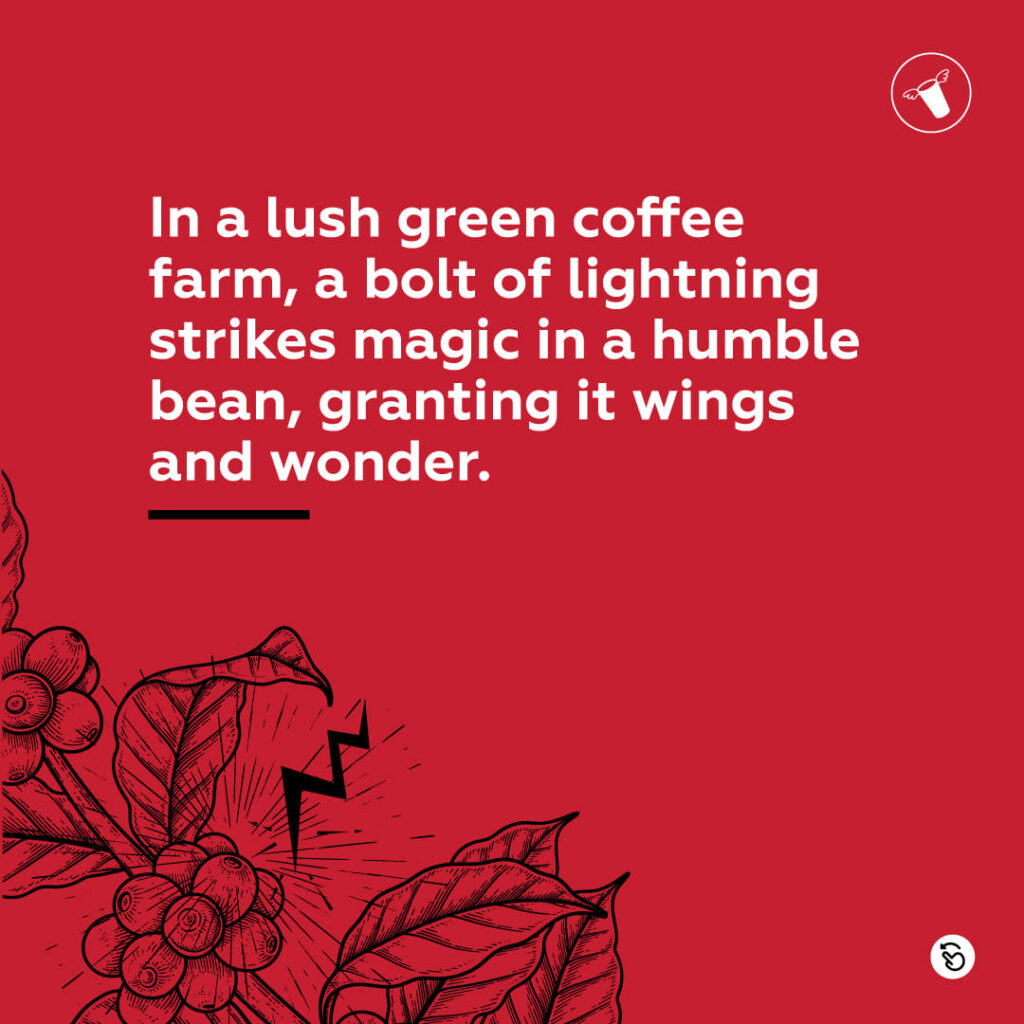 Food & Beverage Branding in Dubai| Uae| FyndFollow